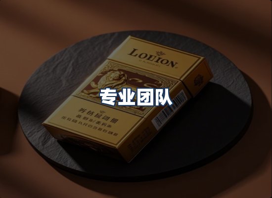 专业团队